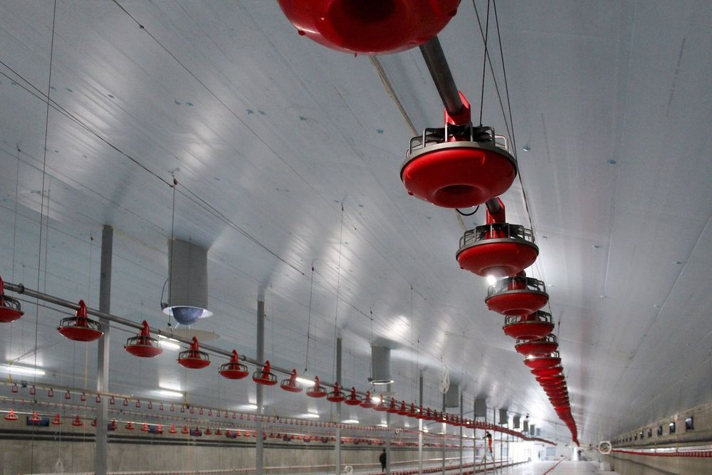 Izolacja Dachu Strop Sufit Podsufitka STYRODUR XPS AGRO Ocieplenie