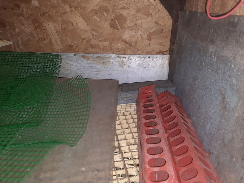 Брудер для птиці.