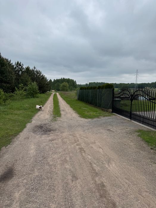 Działka z WZ w okolicy natury