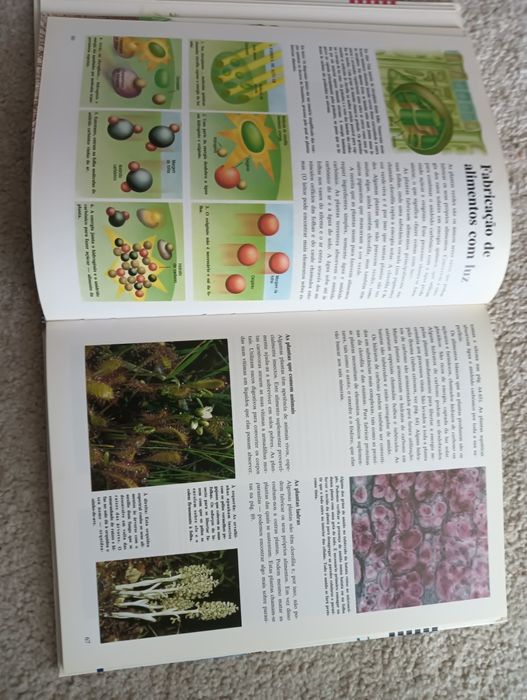 Biologia	Enciclopédia Juvenil  com muitas fotografias e ilustrações