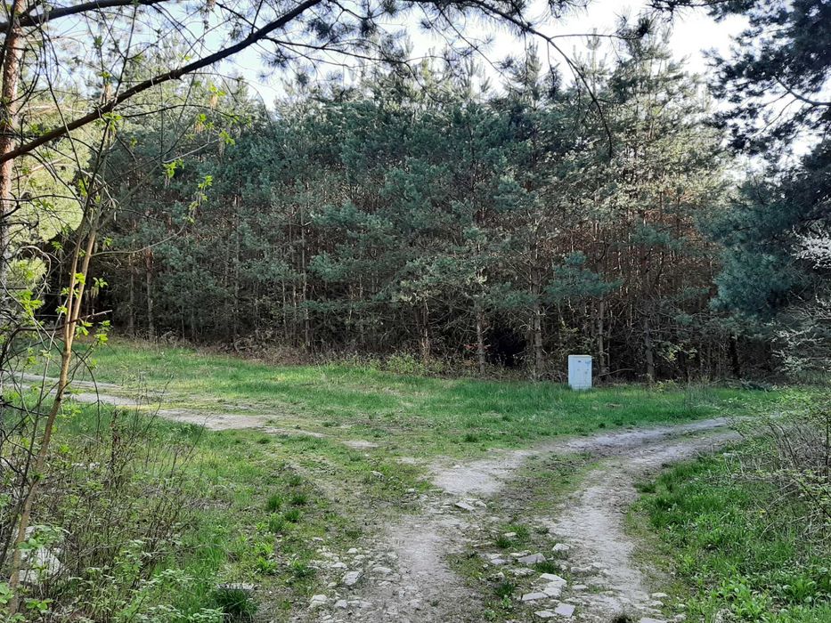 Działka budowlana Rabinówka - Widok 4