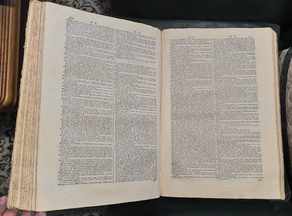 Septem Linguarum Calepinus