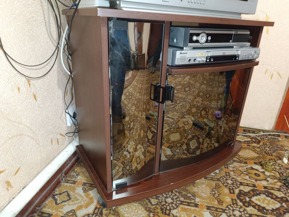 Тумба під ТВ з дверцями і поличкою