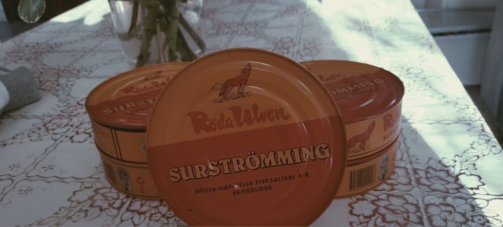 Surstromming kiszone śledzie
