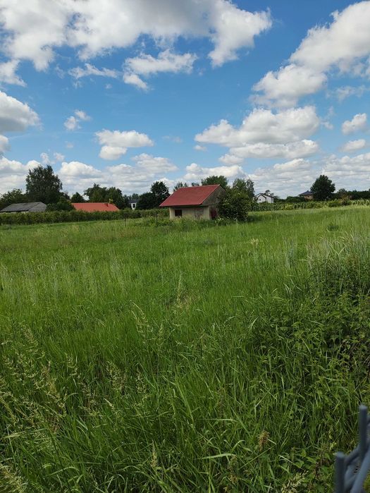 Zdjęcie 7