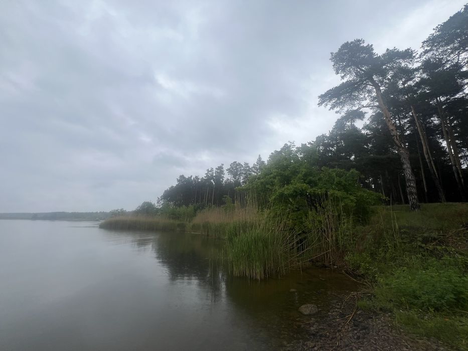 Продажа участка 108соток Вода Лес Таценки/земельна ділянка Ліс Вода