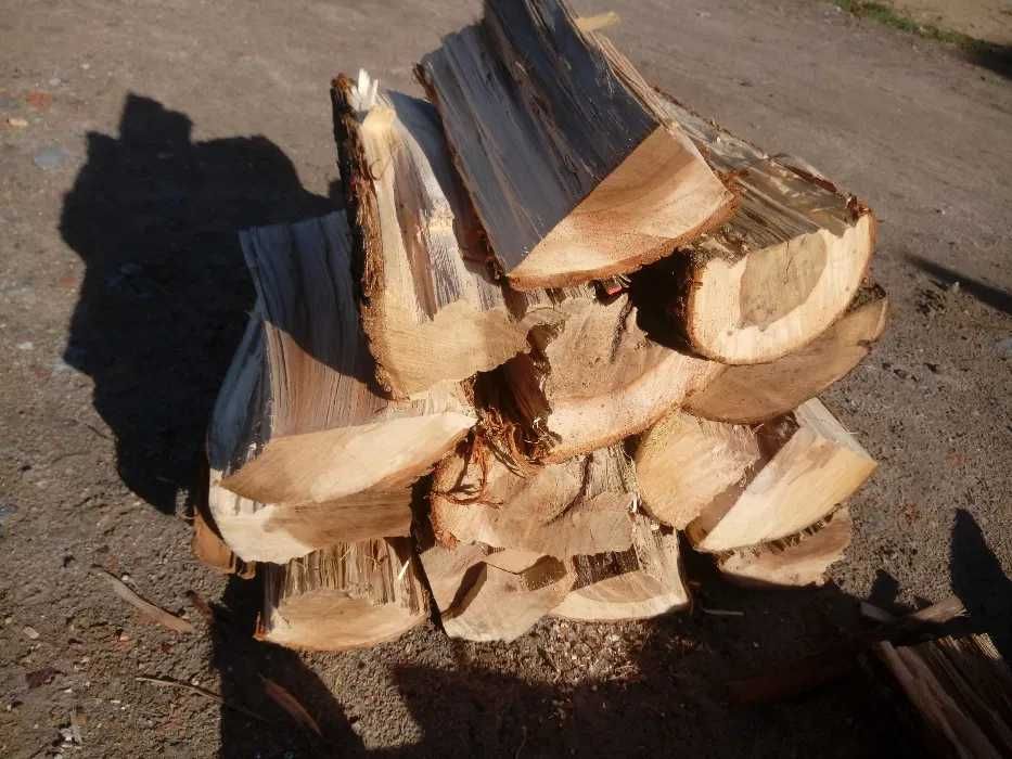 drewno kominkowe opałowe buk dąb brzoza grab sosna