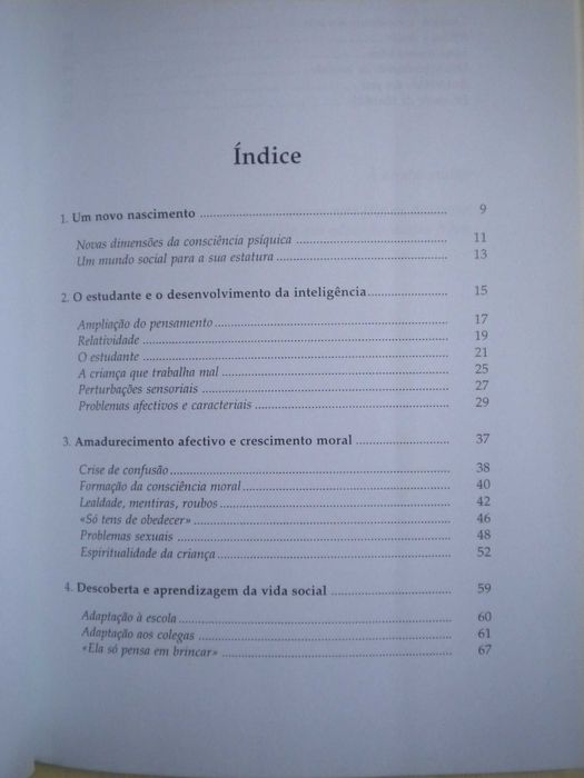 A Criança dos 6 aos 11 Anos
de P. Gallimard