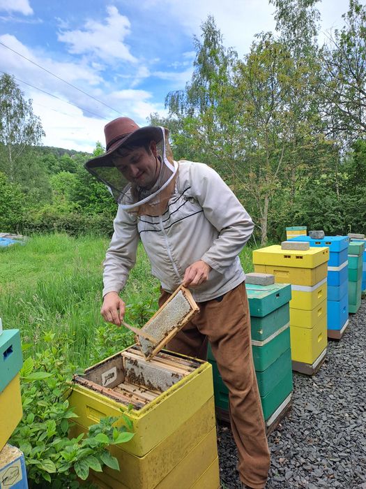 Miód wielokwiatowy z gospodarstwa pasiecznego  z 2024 r.