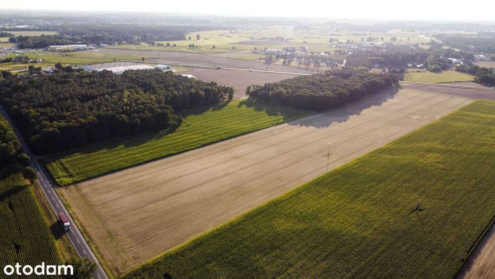 Działki budowlane Zbrudzewo k/Śremu - Widok 2