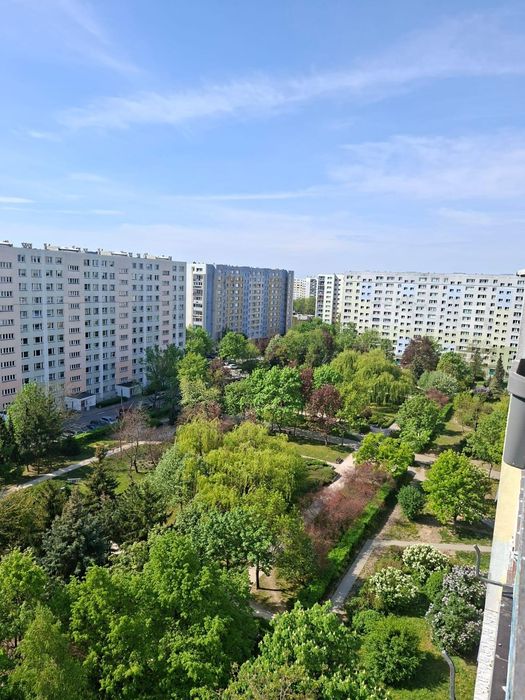 45mkw 2 pokoje 10 pietro widok na Ogród Botaniczny, Balkon, Retkinia Babickiego - Widok 2