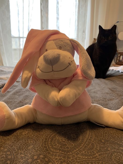 Baby Age Plush Toy