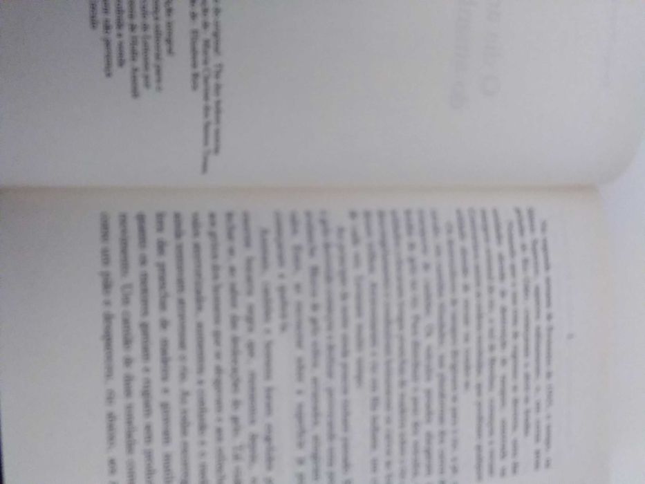 O Dia antes de amanhecer de Thomas Wiseman