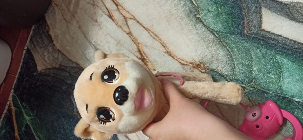 Играшковая собака на поводке