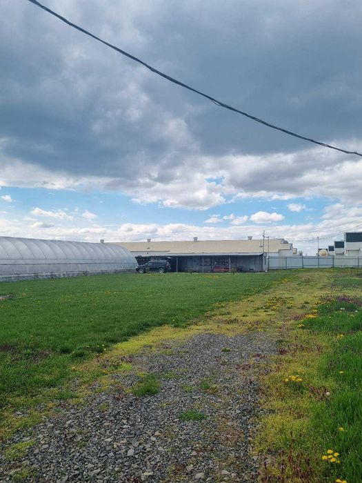 1,3 Га. Мукачево. Рівний. Траса. Є Світло, Вода Теплиці. Під любі цілі