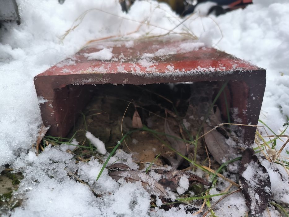 Profil ceownik UPN C200 C120 C100 C80 C50 ceówka