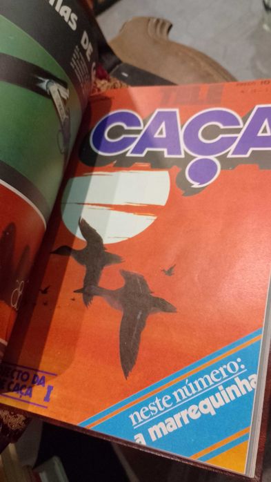 Revista Tele Caça - Manuel do Amaral