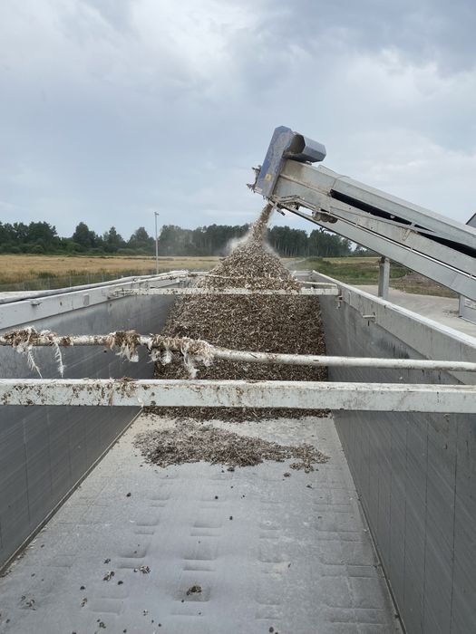 Pomiot Kurzy (Obornik)