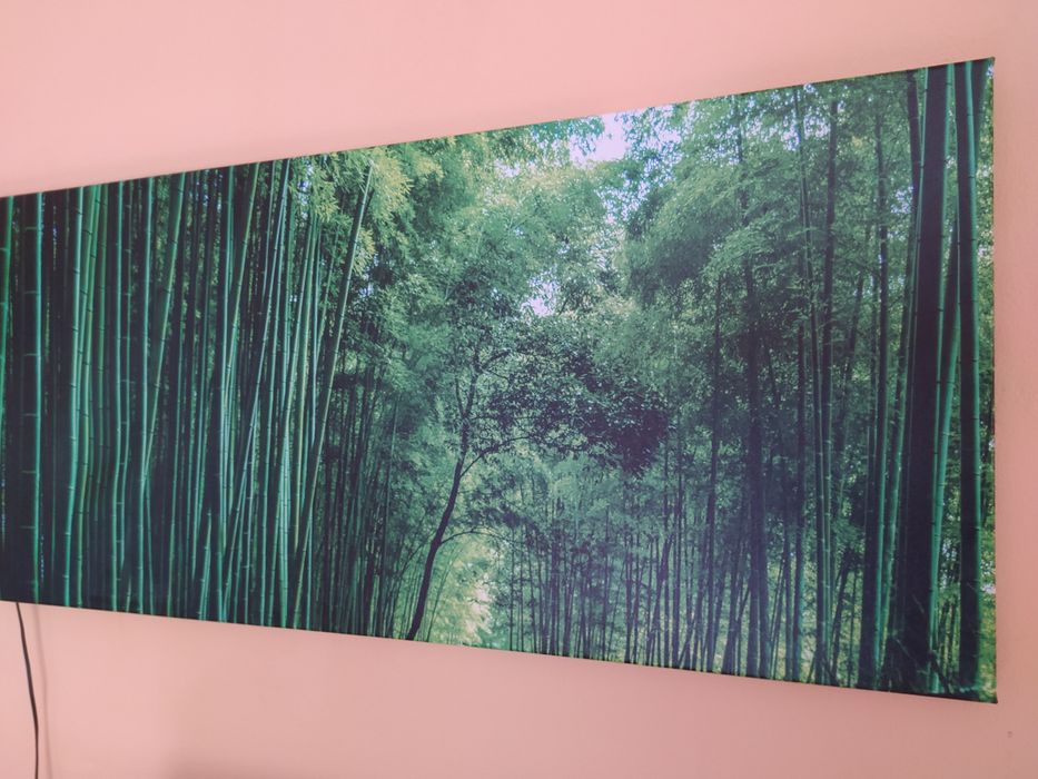 Картини з підсвічуванням