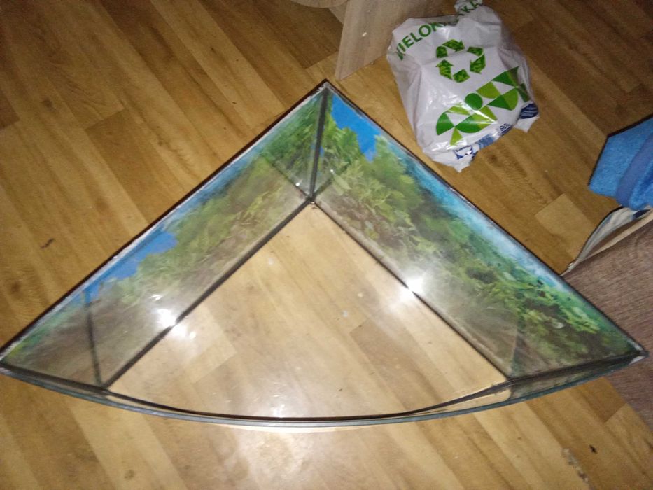 Akwarium za pół darmo