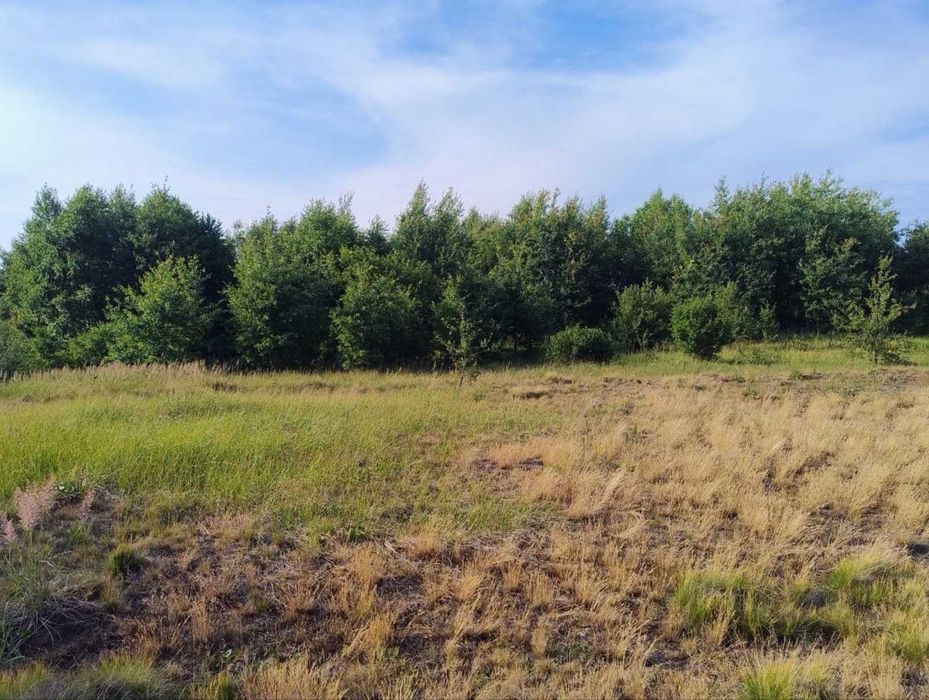 Продаж земельної ділянки під забудову 10сот, 5км до Львова.Без комісії