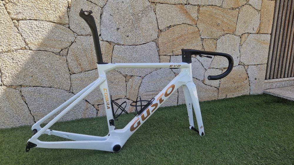 Quadro Gusto Cobra EVO