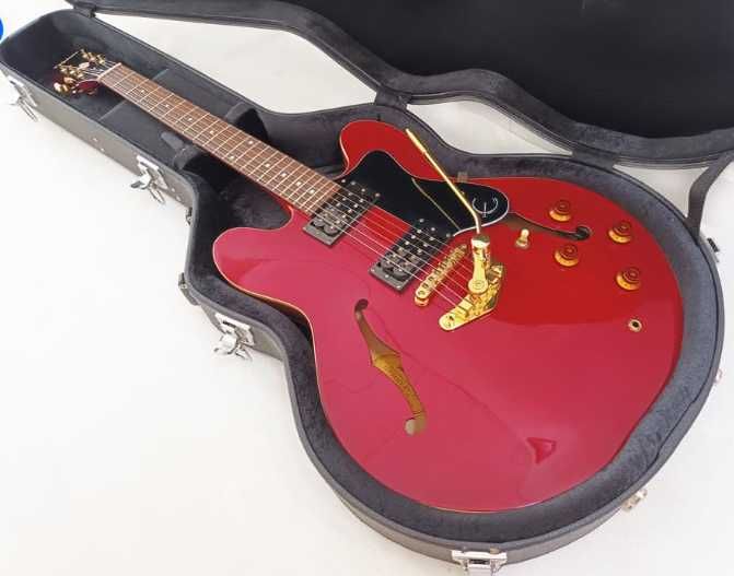 Epiphone Dot (335) - com Hardcase