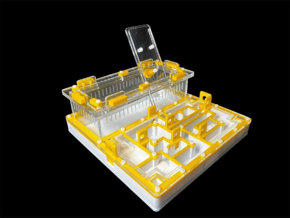 Желтая муравьиная ферма лабиринт для муравьев 200×200×80 мм 1100грн