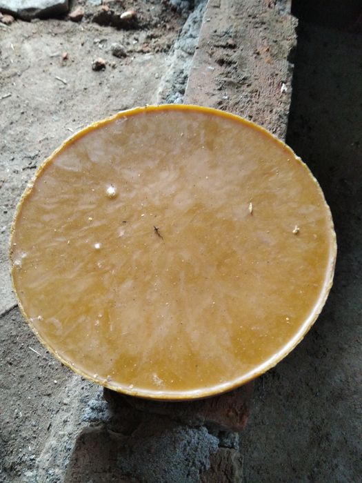 Продам віск бджолиний