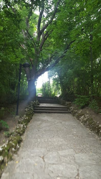 Сдам квартиру в Болгарии Золотые пески Варна