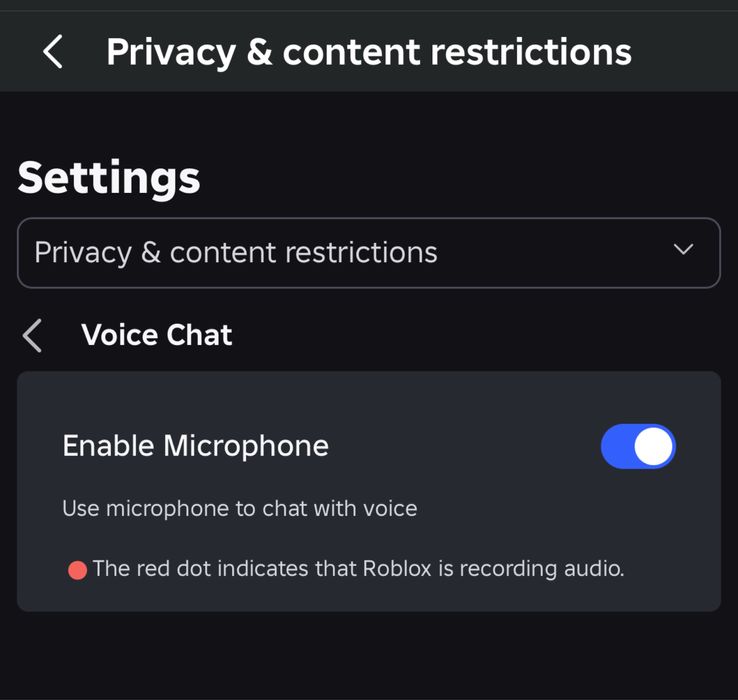 Roblox роблокс аккаунтов с войс чатом/roblox voice chat