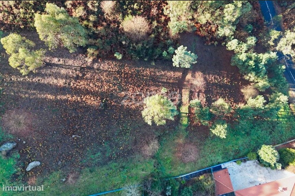 Terreno rústico localizado na Póvoa de Lanhoso