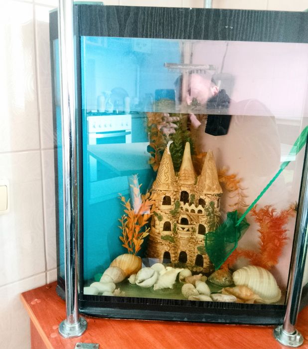 Акваріум продам бу