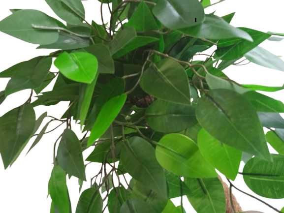 Fikus Sztuczne Drzewko Beniamin Benjamin Kwiat 100