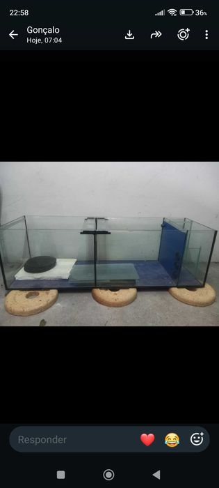 Aquário 260 Litros - Preço de Desapego