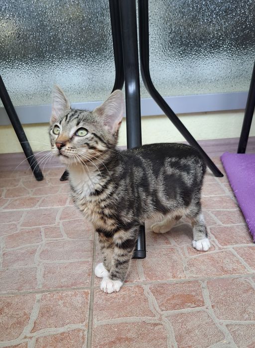 Красивий нарядний малюк 3, 5 міс
