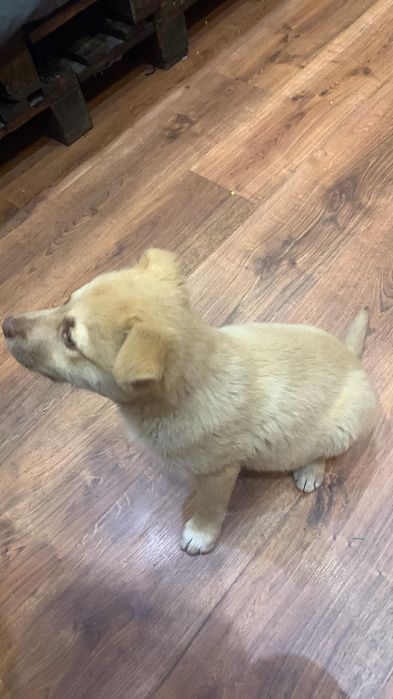 Хлопчик в хороші руки