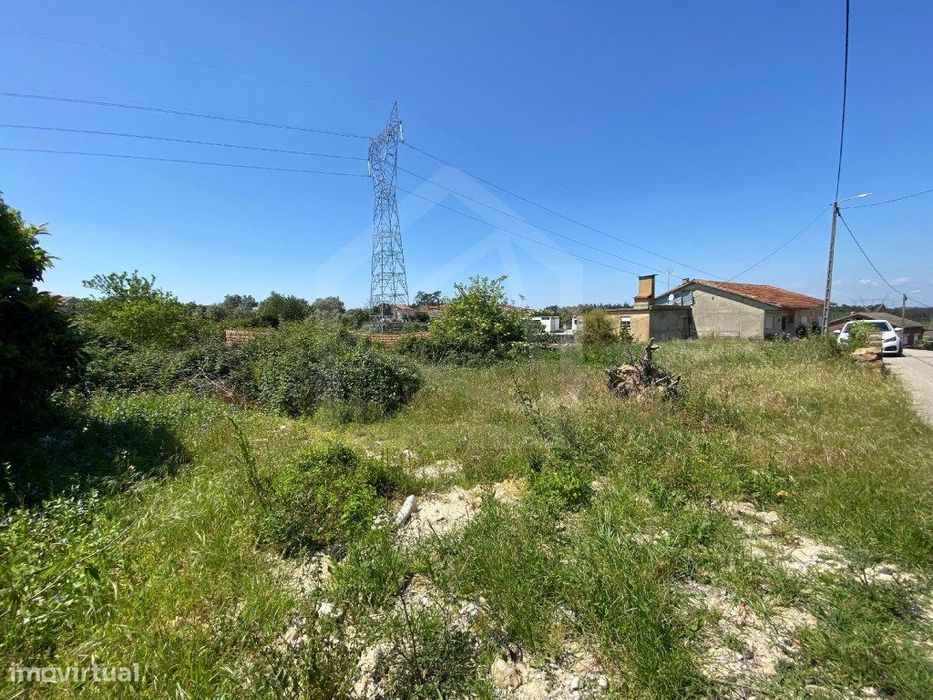 Terreno Rústico em Anadia