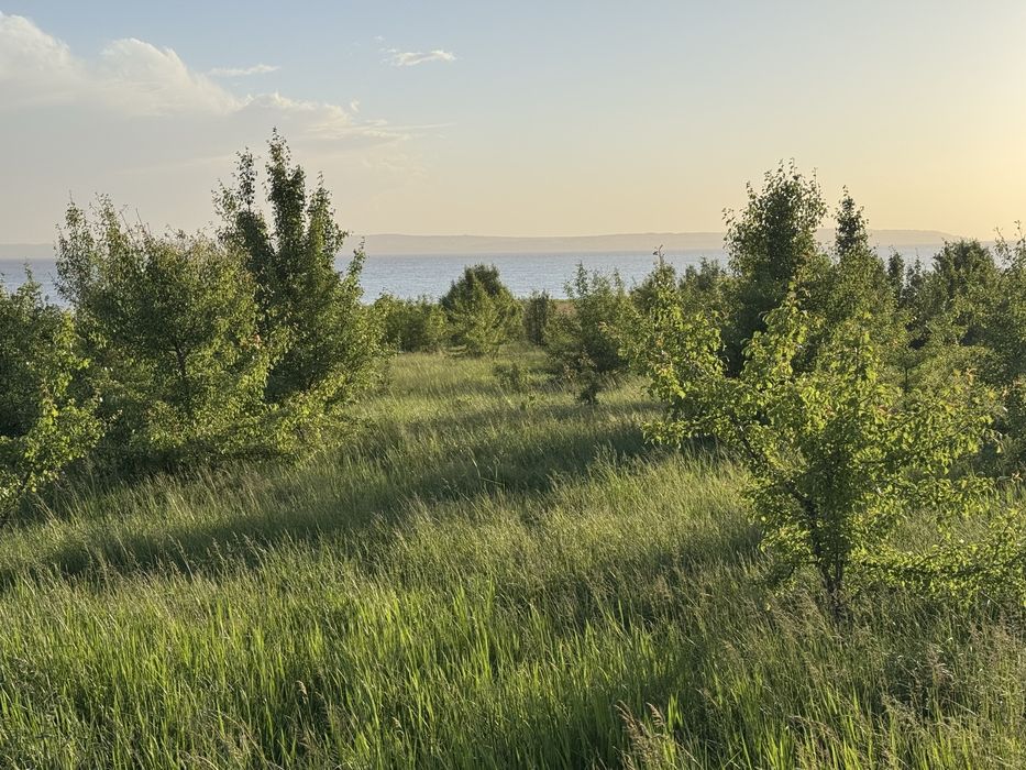 Продаж панорамних  ділянок над Дніпром,село Циблі,від 10 соток до інвестиційного масиву 72 соток