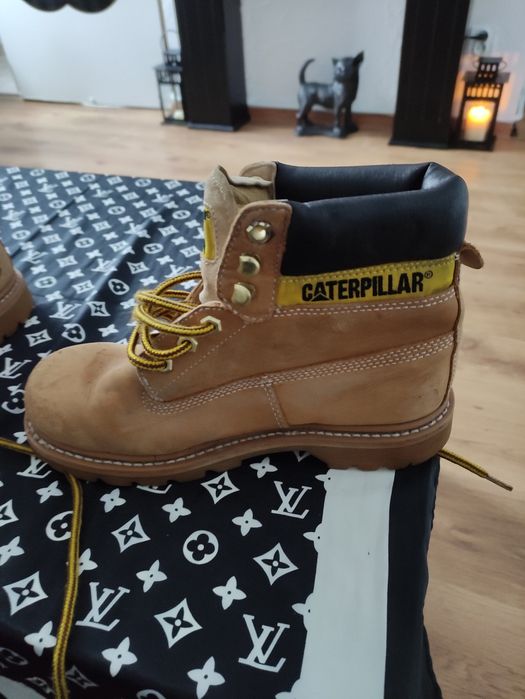 Trapery Caterpillar 38