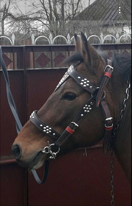 Кінна амуніція, уздечка для коня, шкіряна, ручна робота