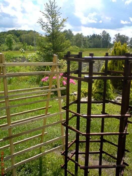 опора, подпорка для растений, клематиса