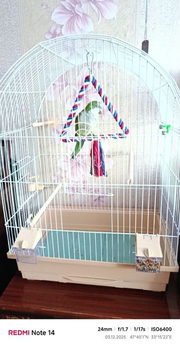 Продам клетку  и кешу