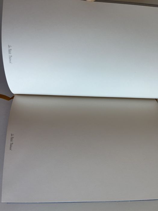 Caderno principezinho