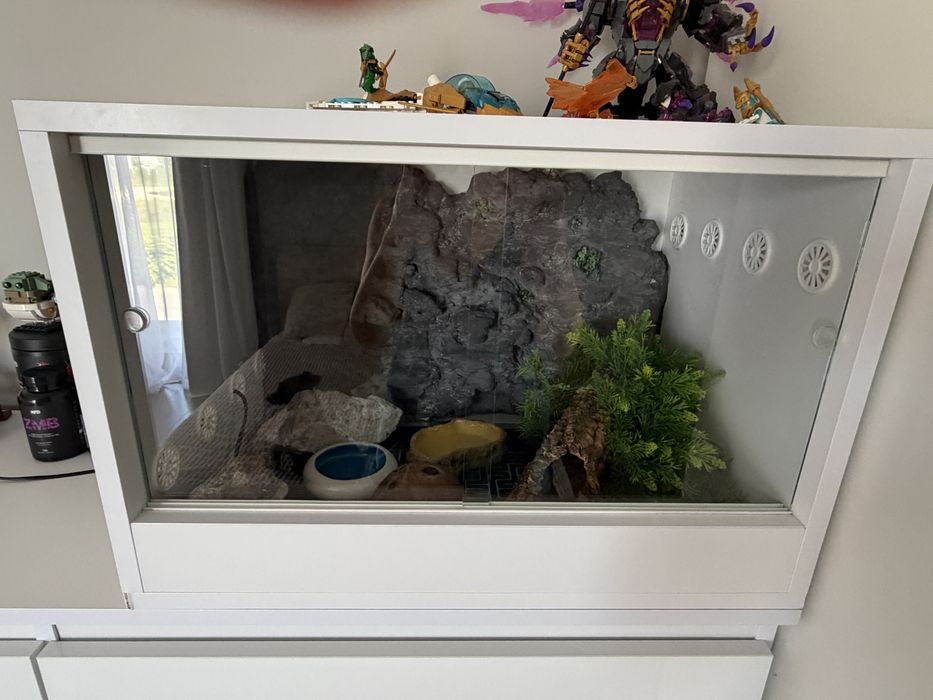 Terrarium dla gekona  z wyposażeniem
