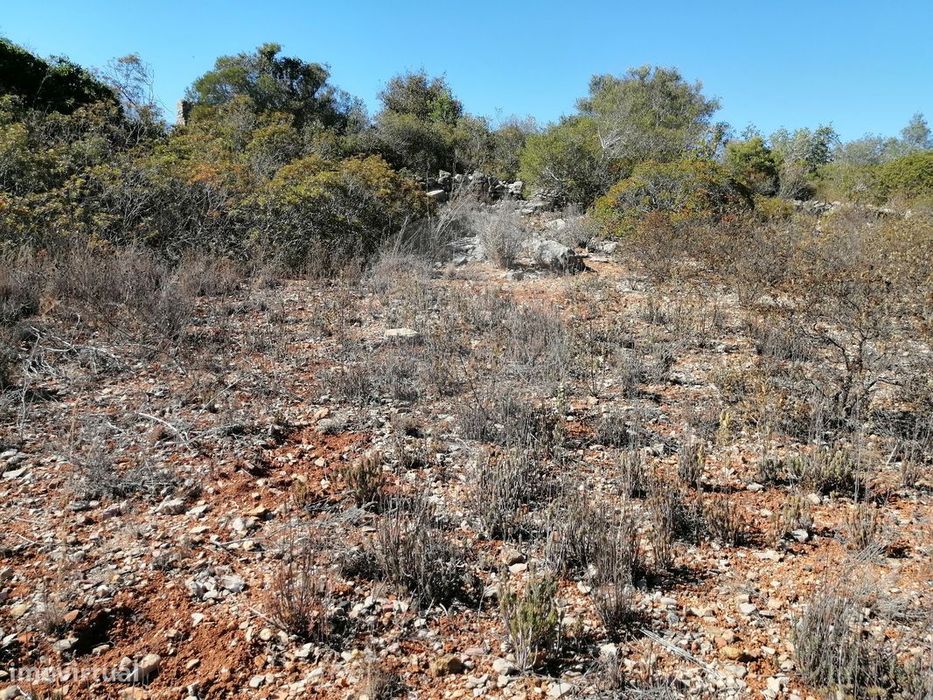 Terreno  para venda