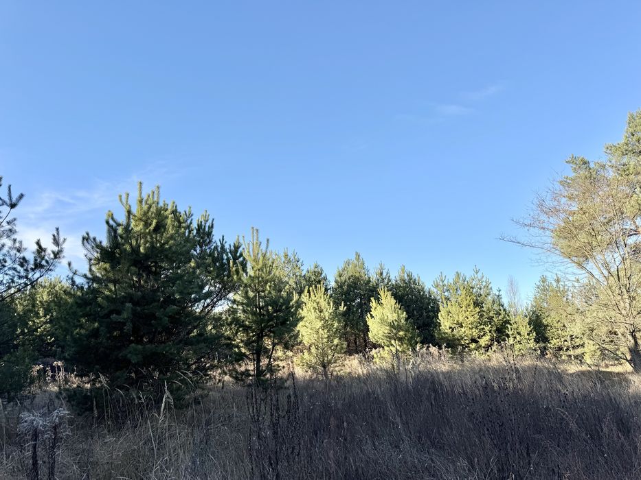 Земельна ділянка 8 Га! Ясногородка!