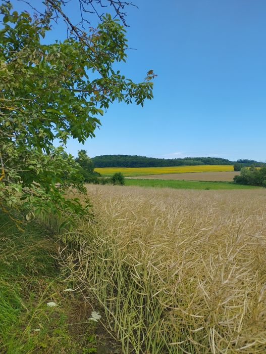 Продам будинок с.Уїздці 40 сот