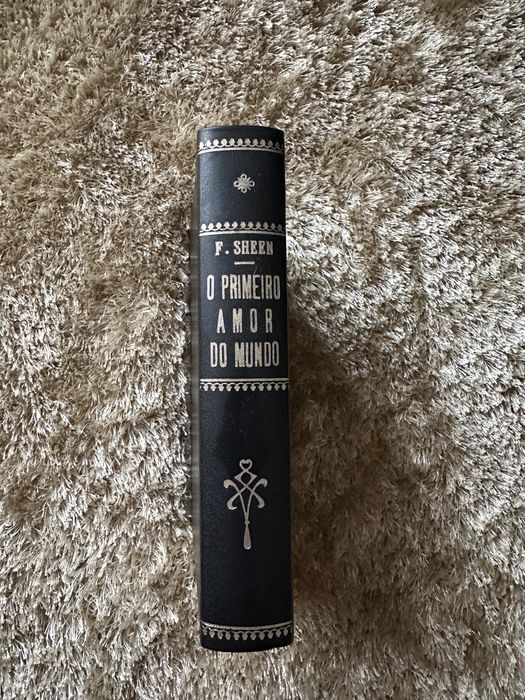 Livro o Primeiro Amor do Mundo