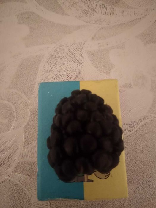 Ягода ожина (blackberry) оптом і в роздріб